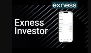 Exness निवेशक खाता